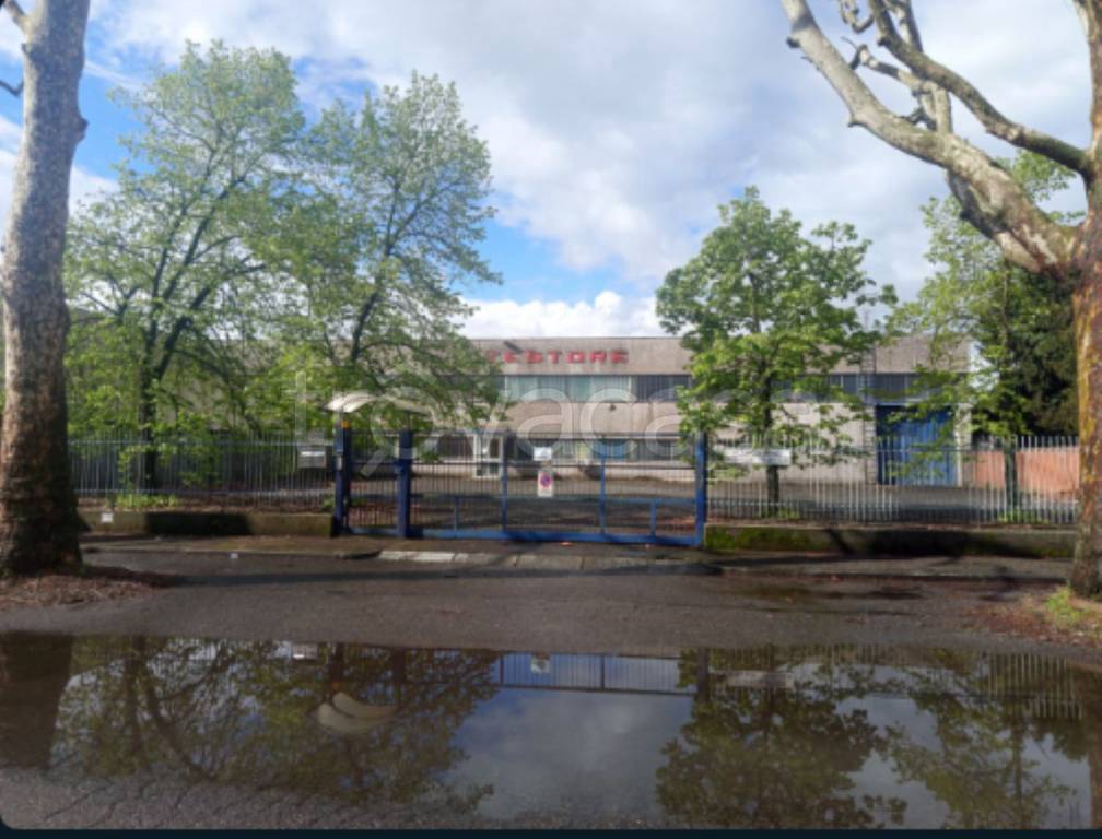 immagine annuncio 9 di 10