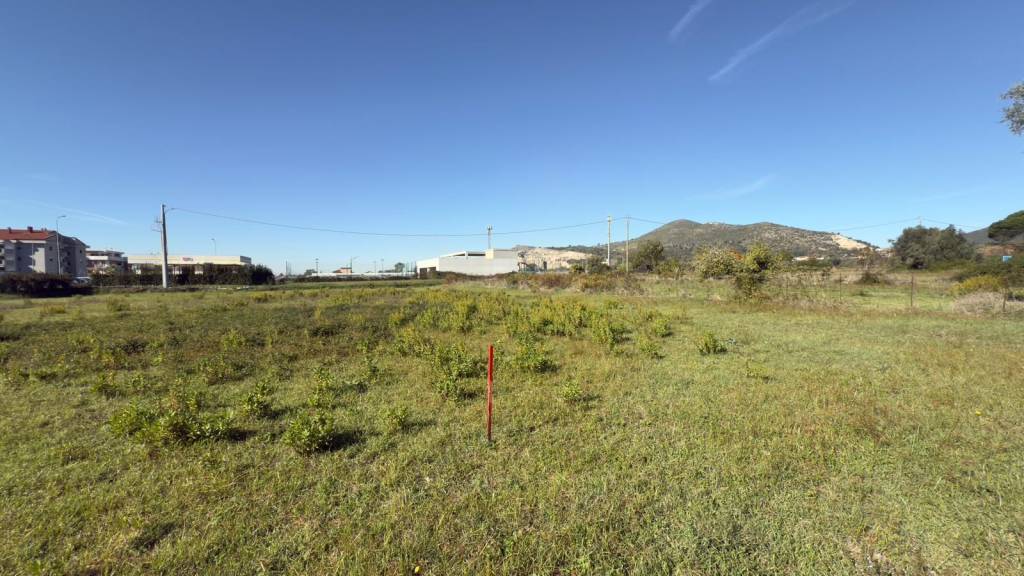 immagine annuncio 1 di 11