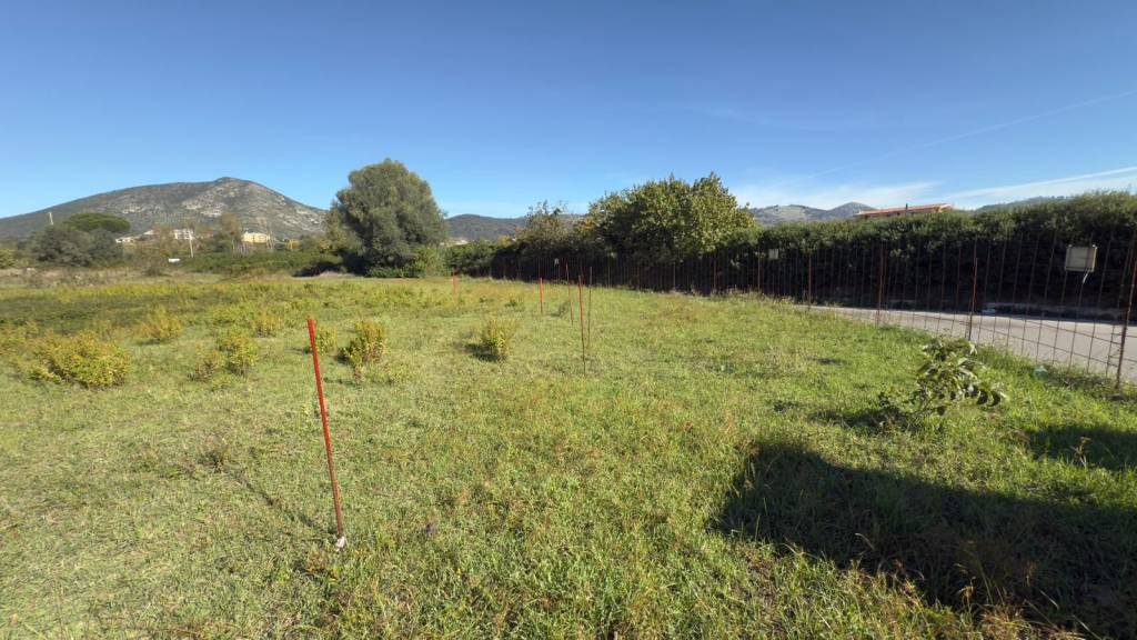 immagine annuncio 3 di 11