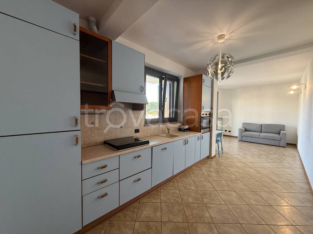 immagine annuncio 5 di 13