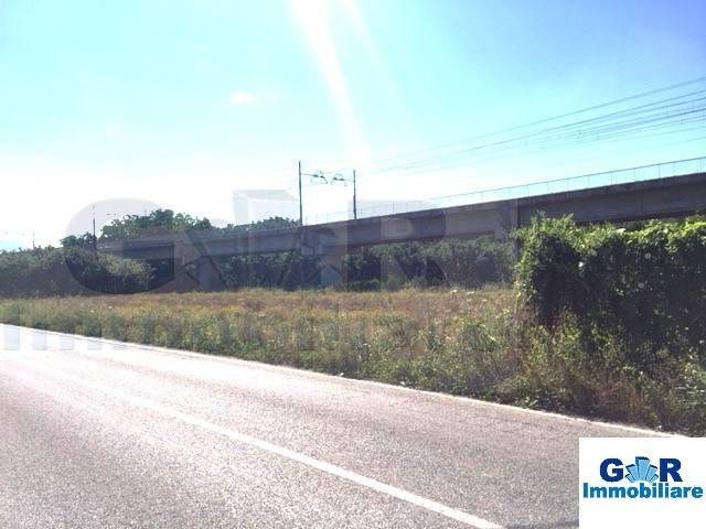 immagine annuncio 4 di 7