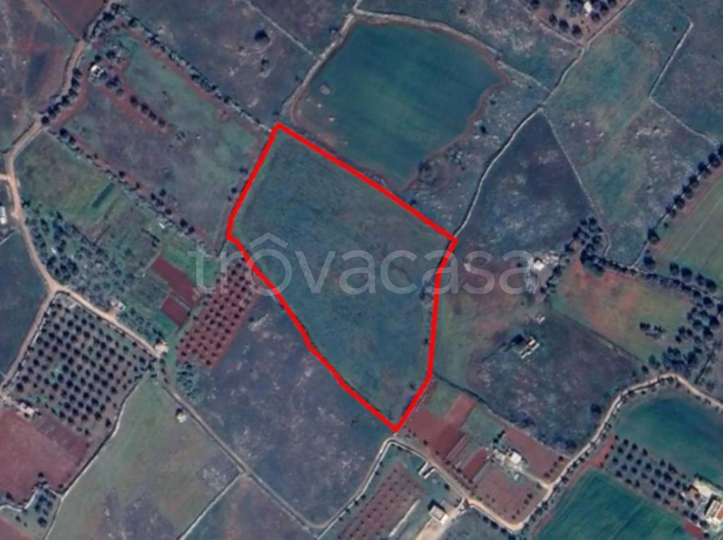 immagine annuncio 1 di 11