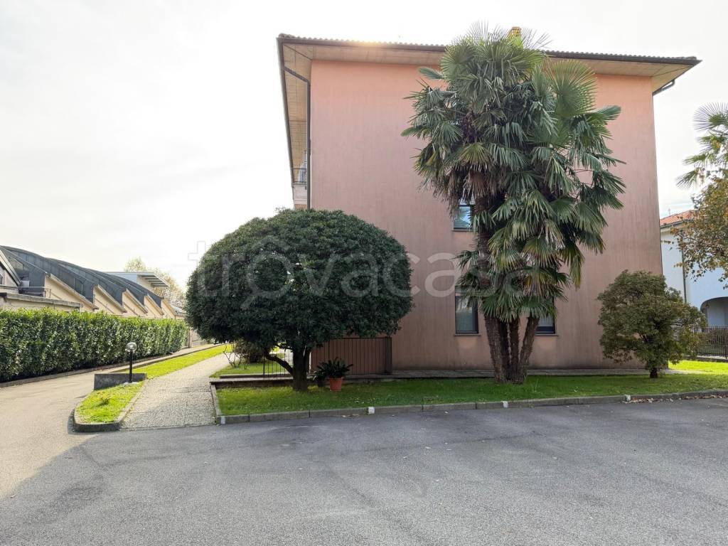 immagine annuncio 1 di 12