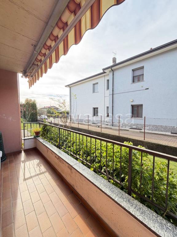 immagine annuncio 5 di 12