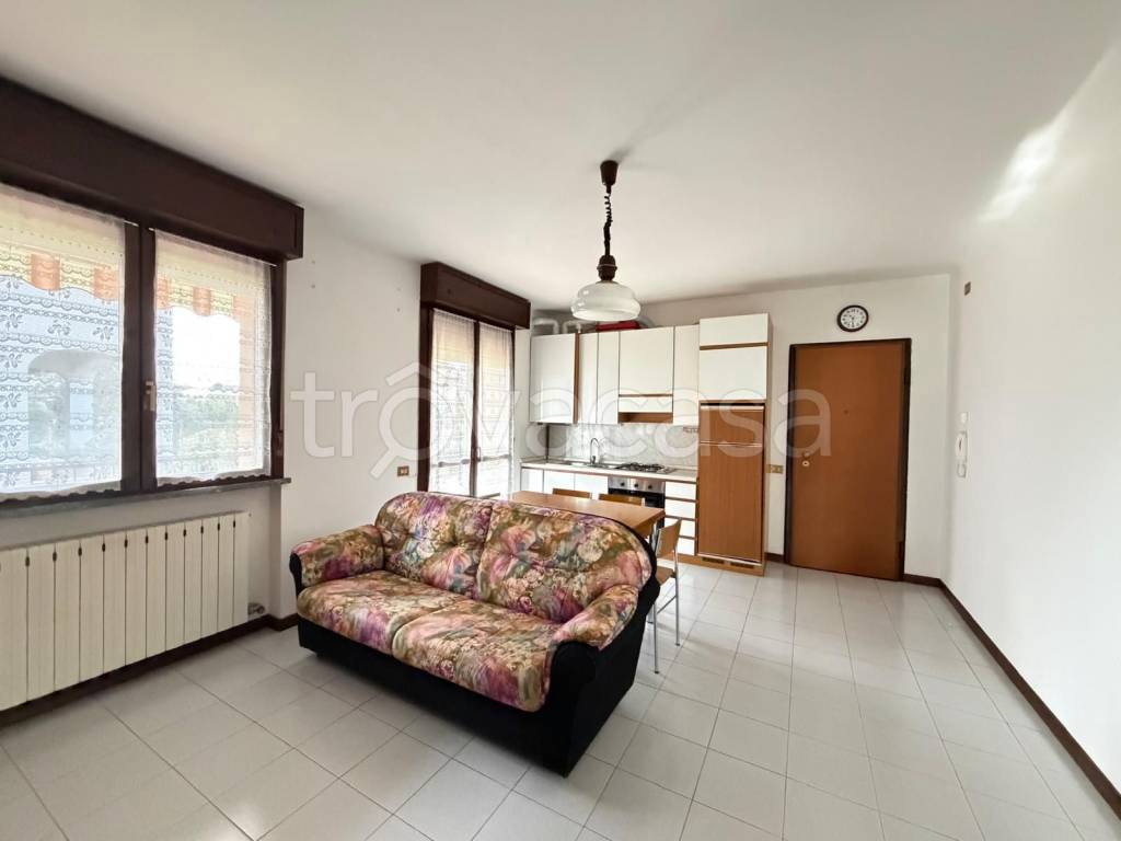 immagine annuncio 8 di 12