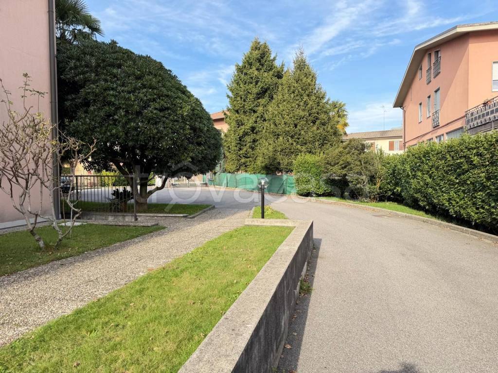 immagine annuncio 11 di 12