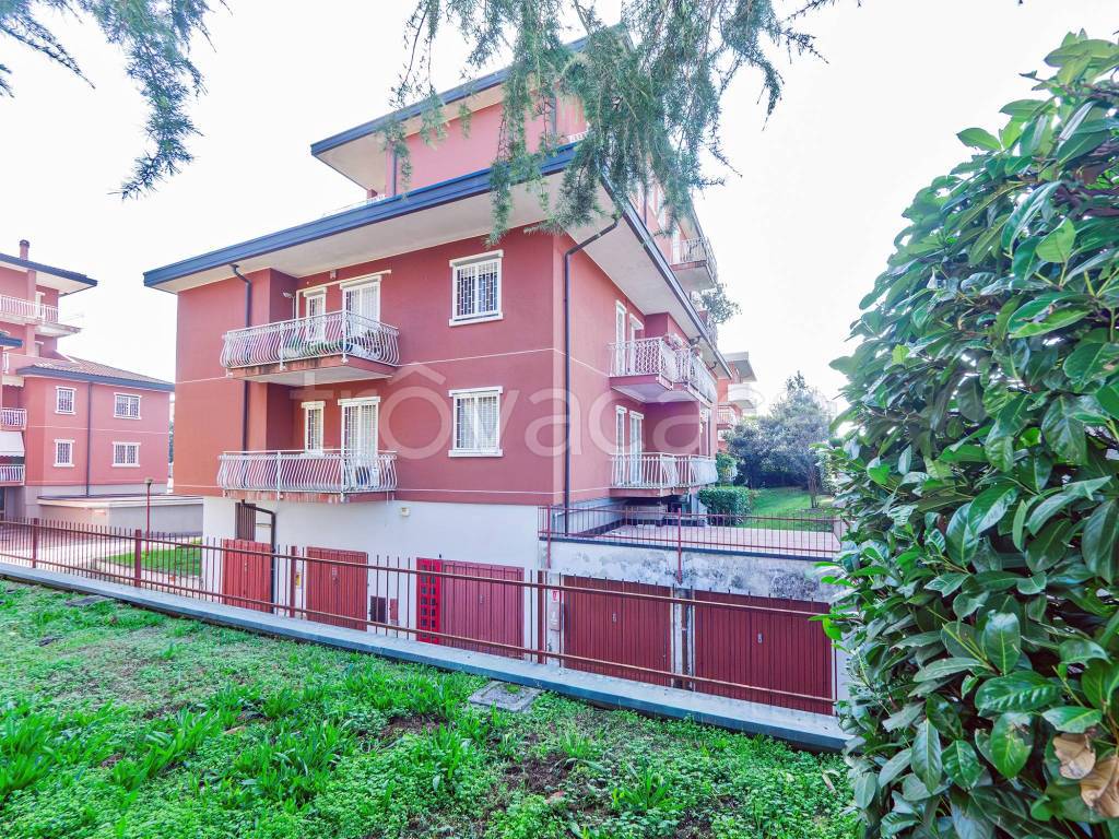 immagine annuncio 6 di 15