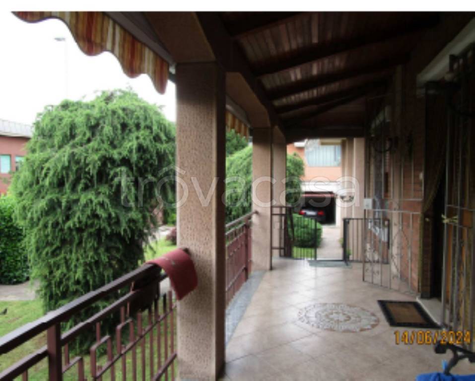 immagine annuncio 2 di 12