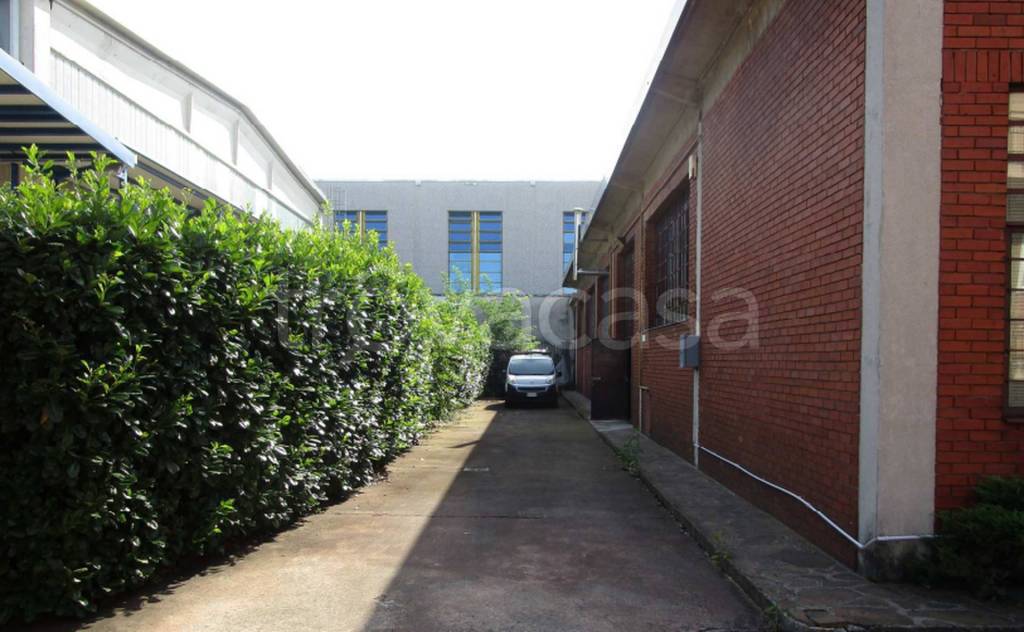 immagine annuncio 4 di 13