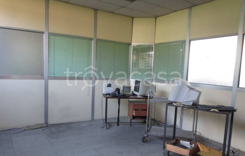 immagine annuncio 7 di 13