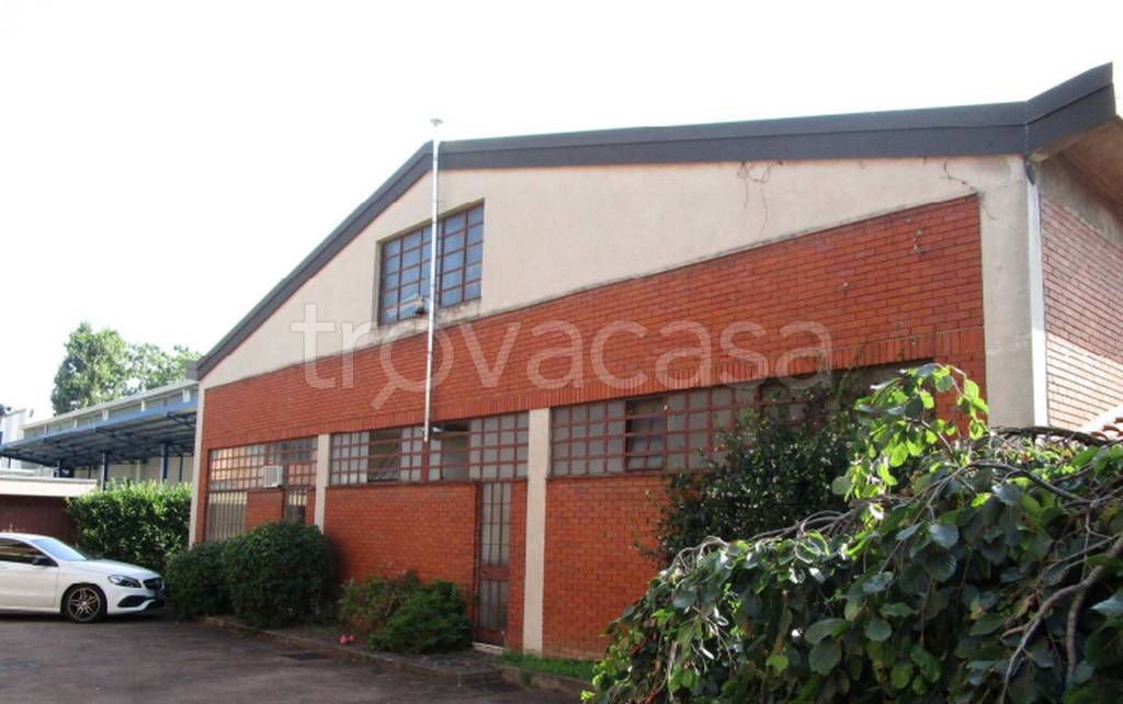 immagine annuncio 2 di 13