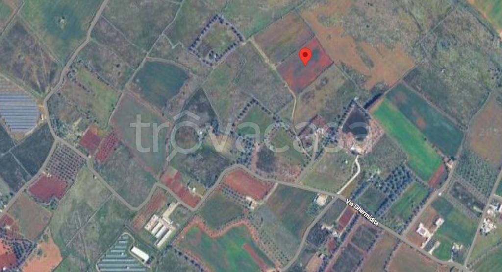 immagine annuncio 6 di 11