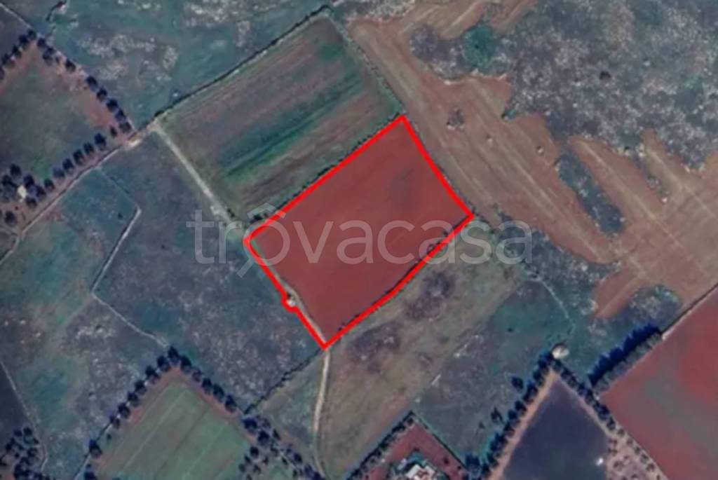 immagine annuncio 10 di 11