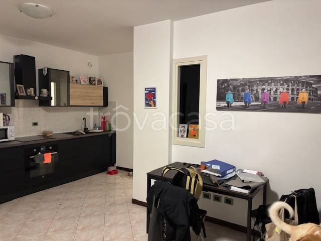 immagine annuncio 4 di 14