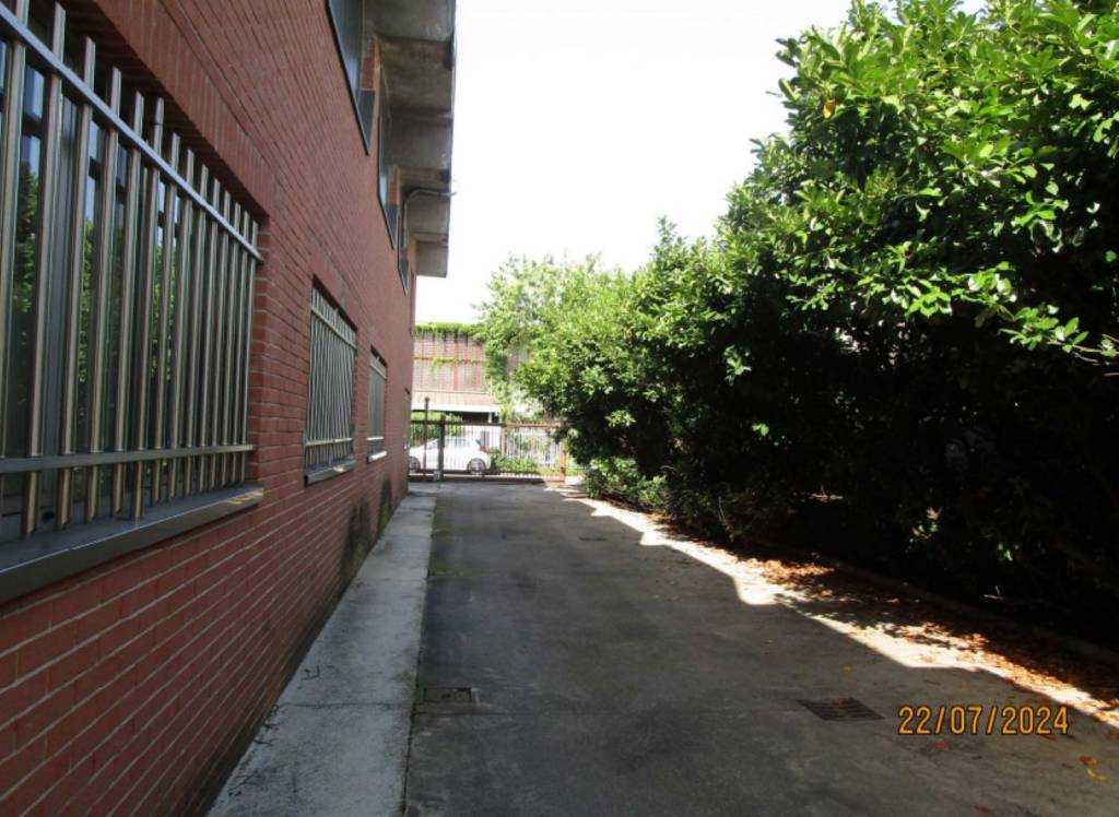 immagine annuncio 1 di 12