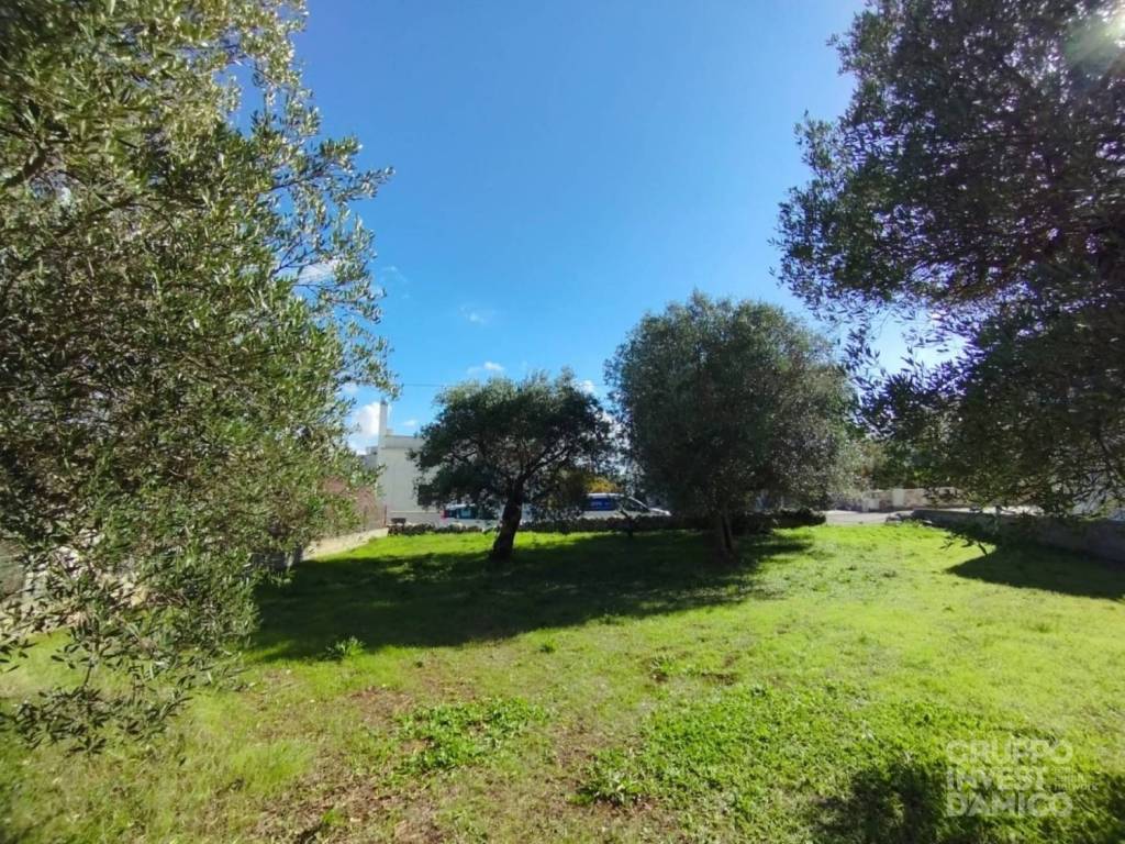 immagine annuncio 2 di 4