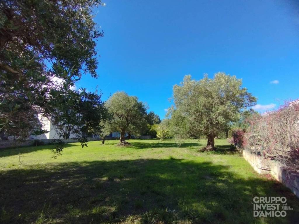 immagine annuncio 3 di 4