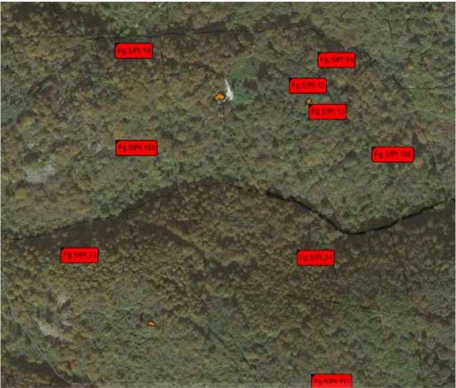 immagine annuncio 3 di 11