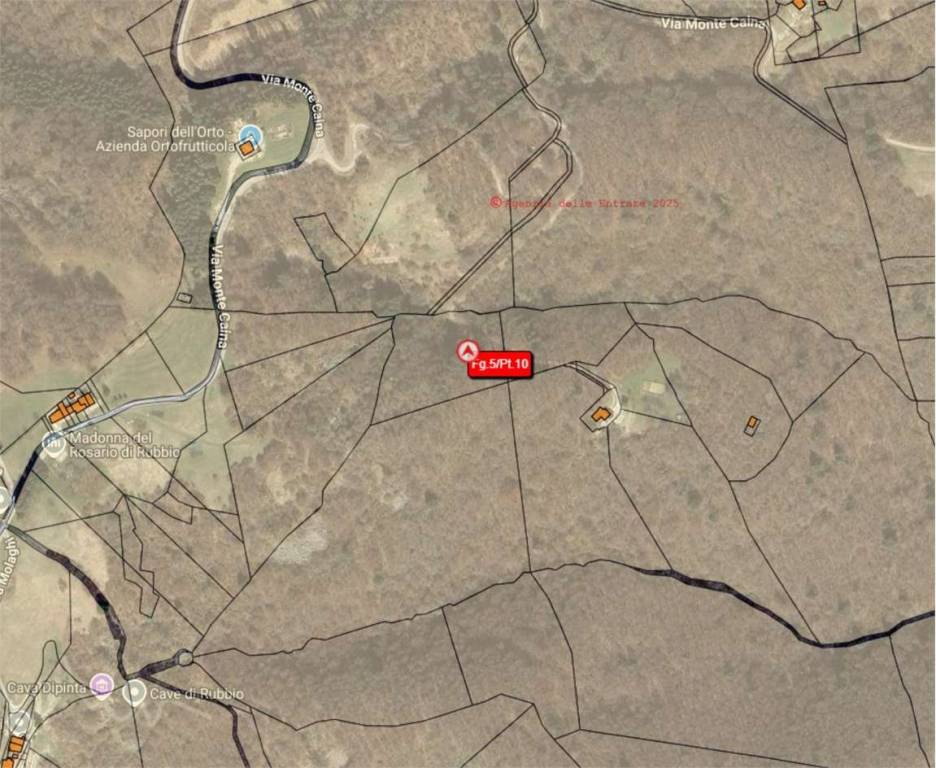 immagine annuncio 5 di 11