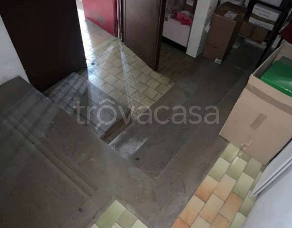 immagine annuncio 5 di 14