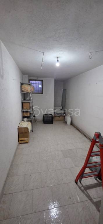 immagine annuncio 12 di 14