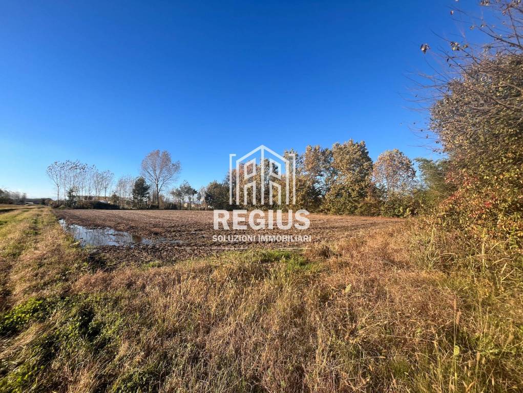 immagine annuncio 4 di 8