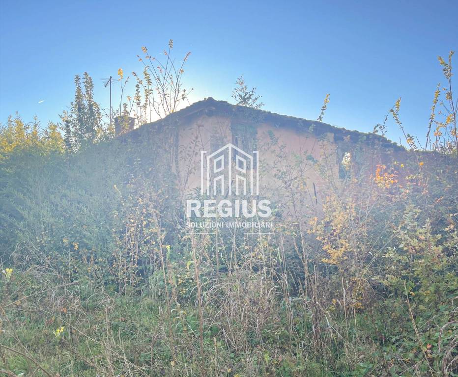 immagine annuncio 1 di 8