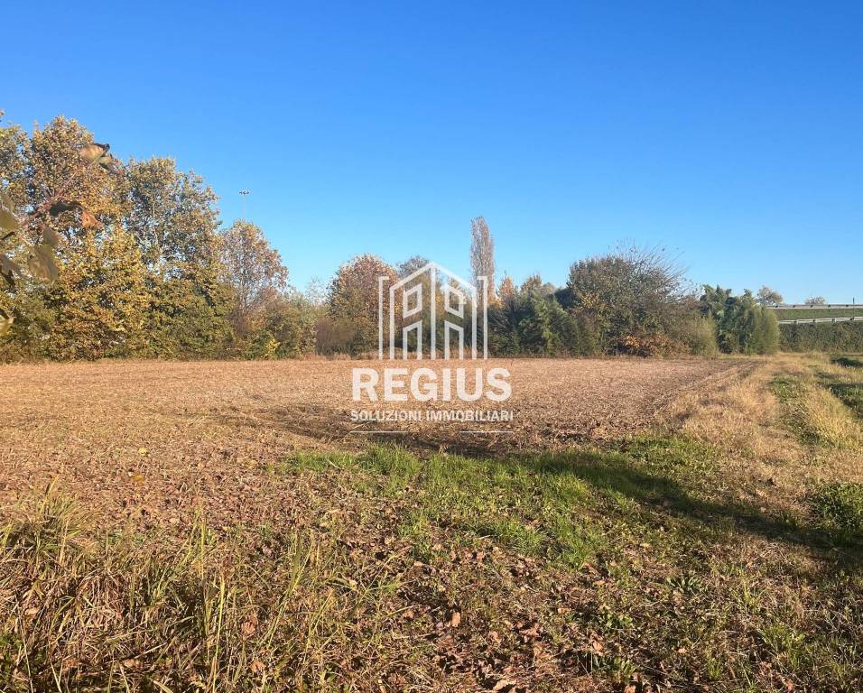 immagine annuncio 7 di 8