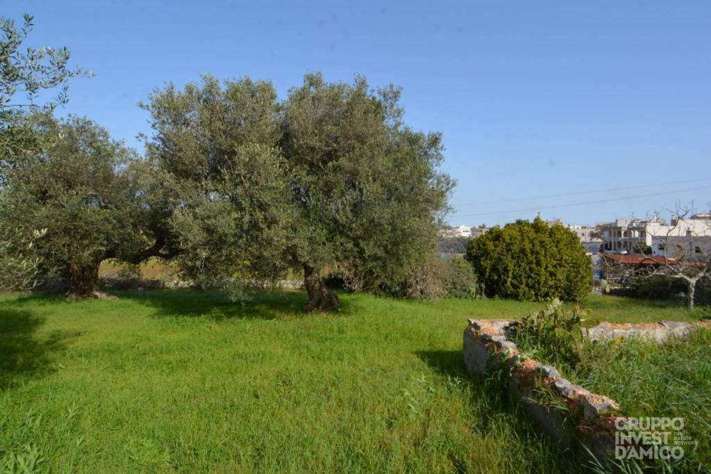 immagine annuncio 3 di 4