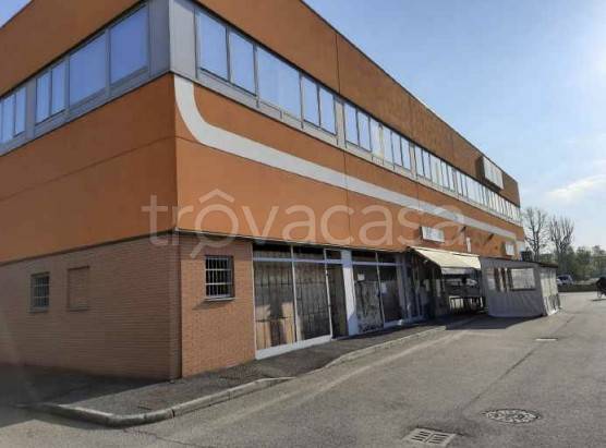 immagine annuncio 4 di 7