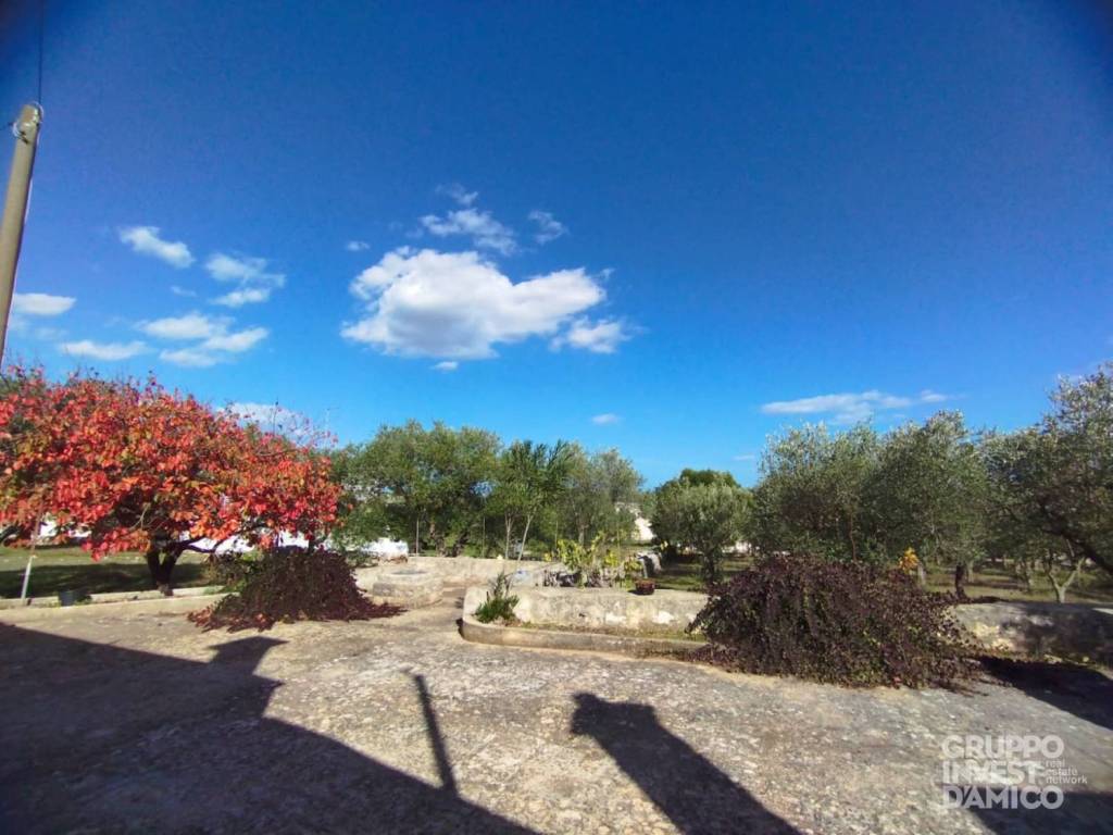 immagine annuncio 3 di 11