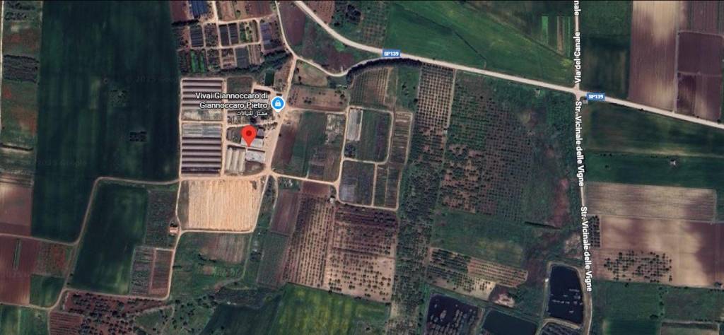 immagine annuncio 5 di 9