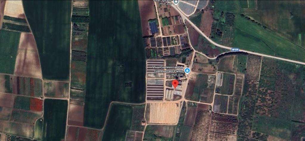 immagine annuncio 6 di 9