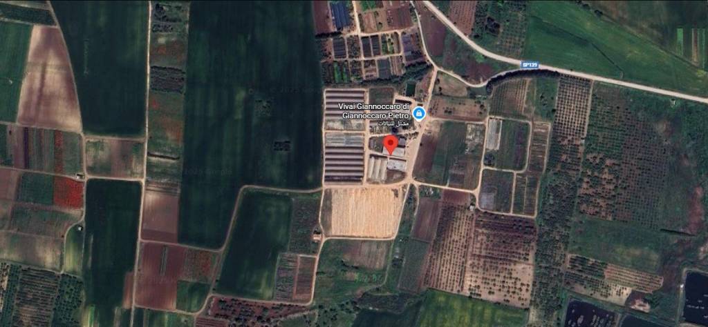 immagine annuncio 7 di 9