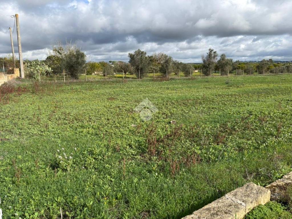 immagine annuncio 3 di 14