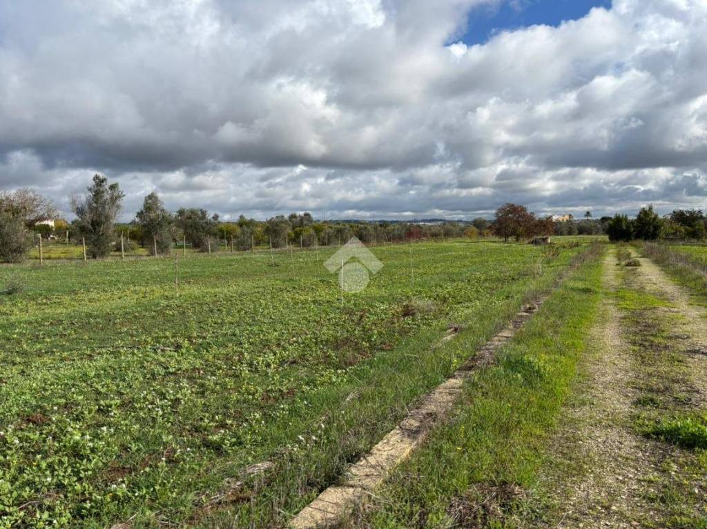 immagine annuncio 6 di 14