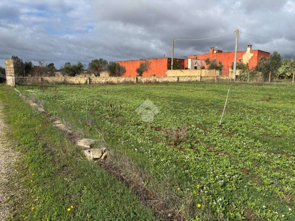 immagine annuncio 7 di 14