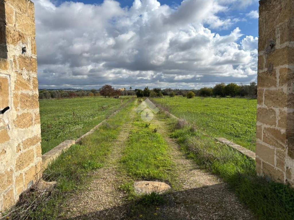 immagine annuncio 8 di 14