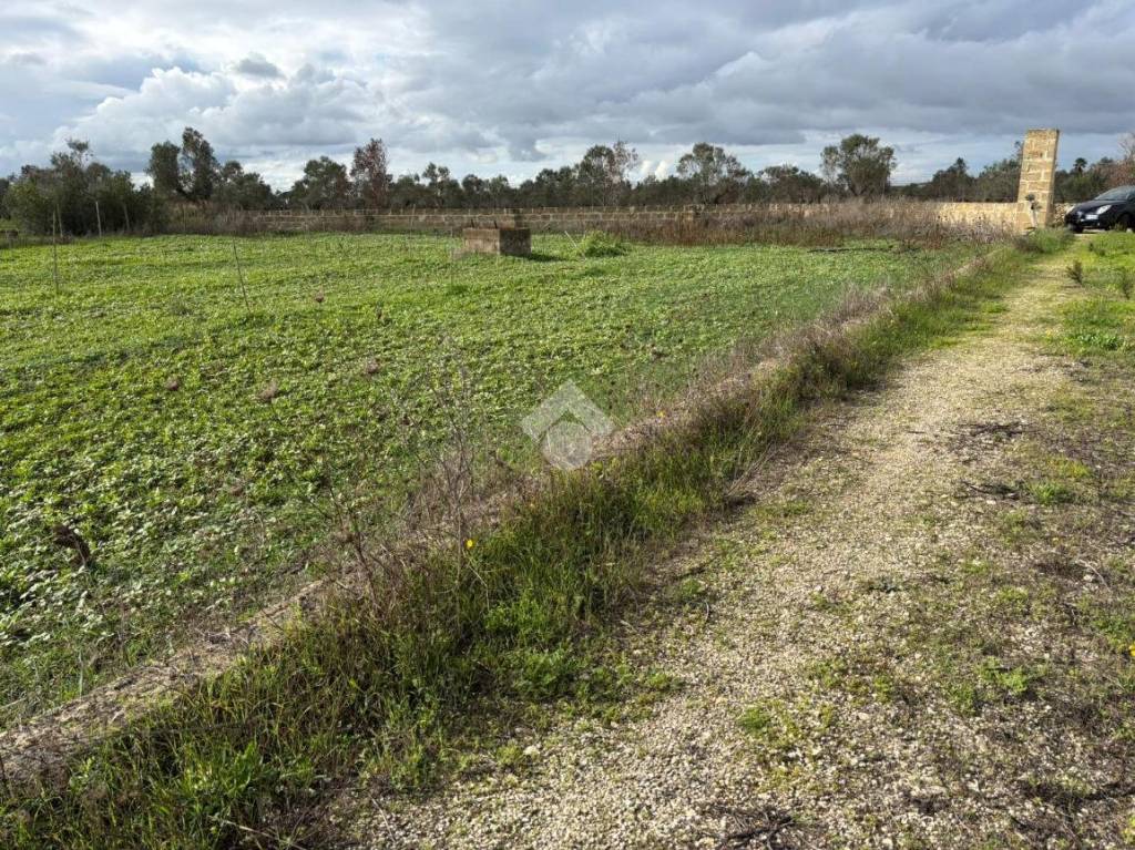 immagine annuncio 9 di 14