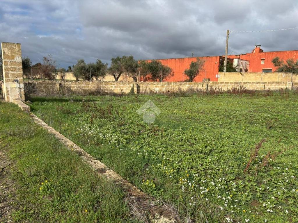 immagine annuncio 10 di 14