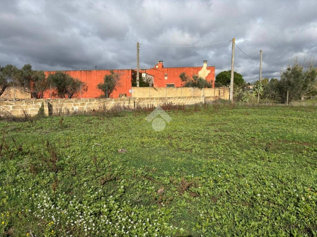 immagine annuncio 11 di 14