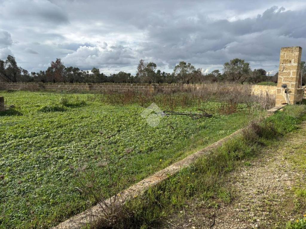 immagine annuncio 12 di 14