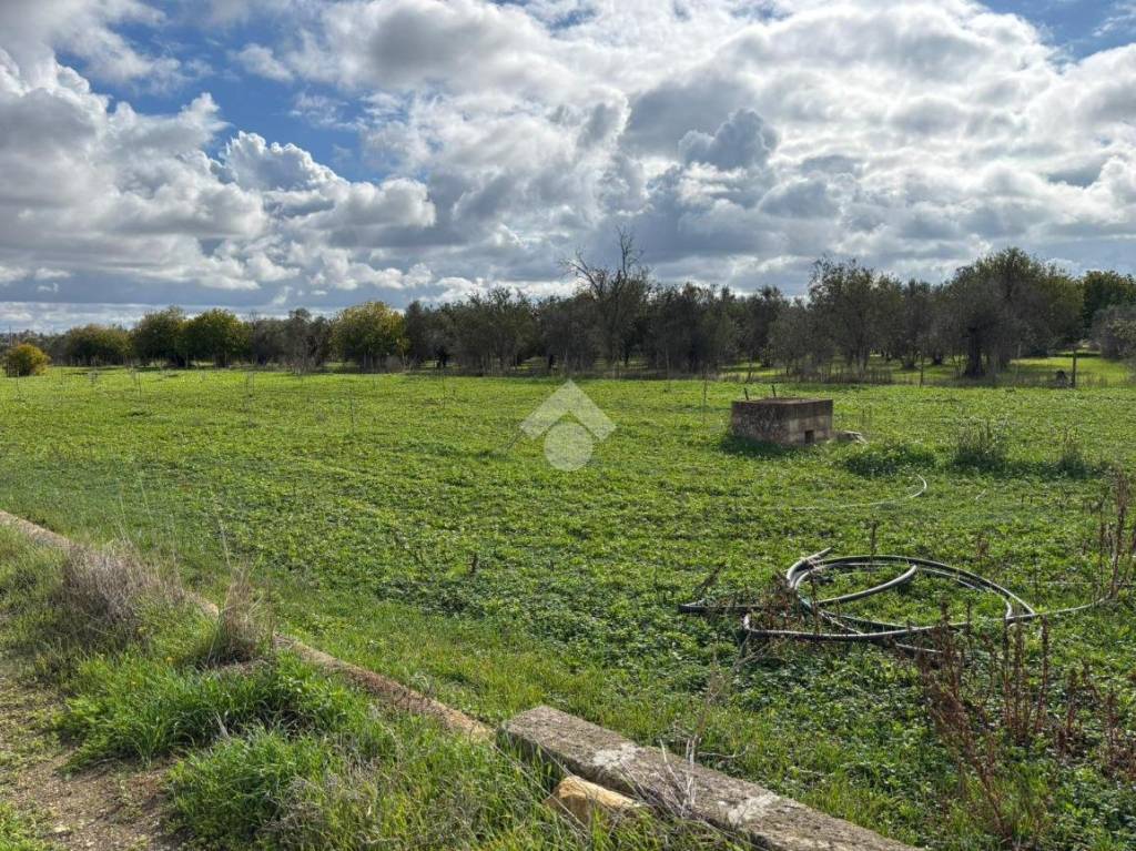 immagine annuncio 13 di 14