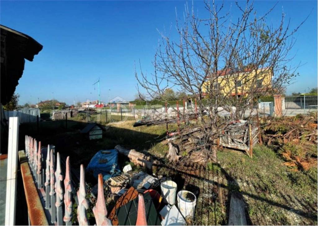 immagine annuncio 3 di 12