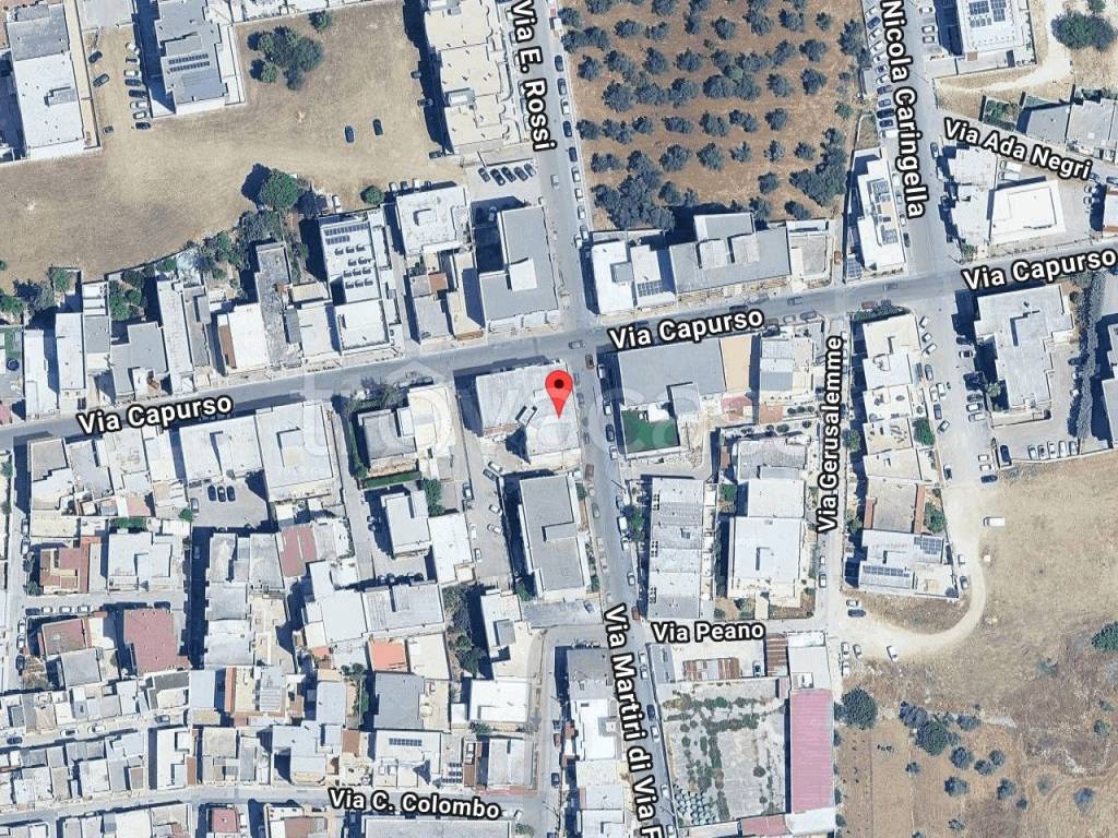 immagine annuncio 1 di 11