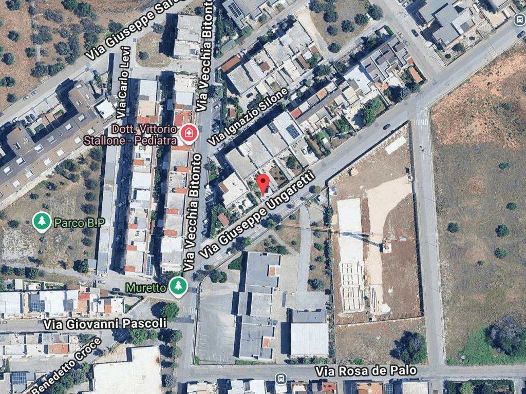 immagine annuncio 1 di 11