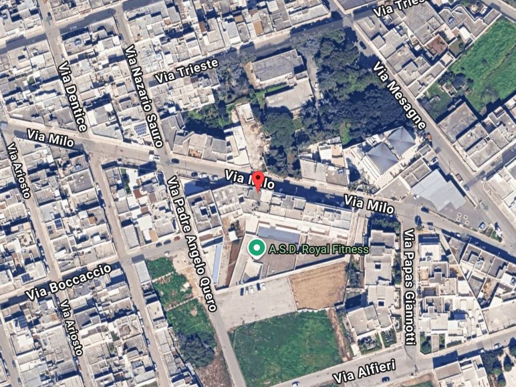 immagine annuncio 1 di 11