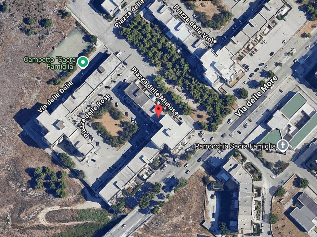 immagine annuncio 1 di 11