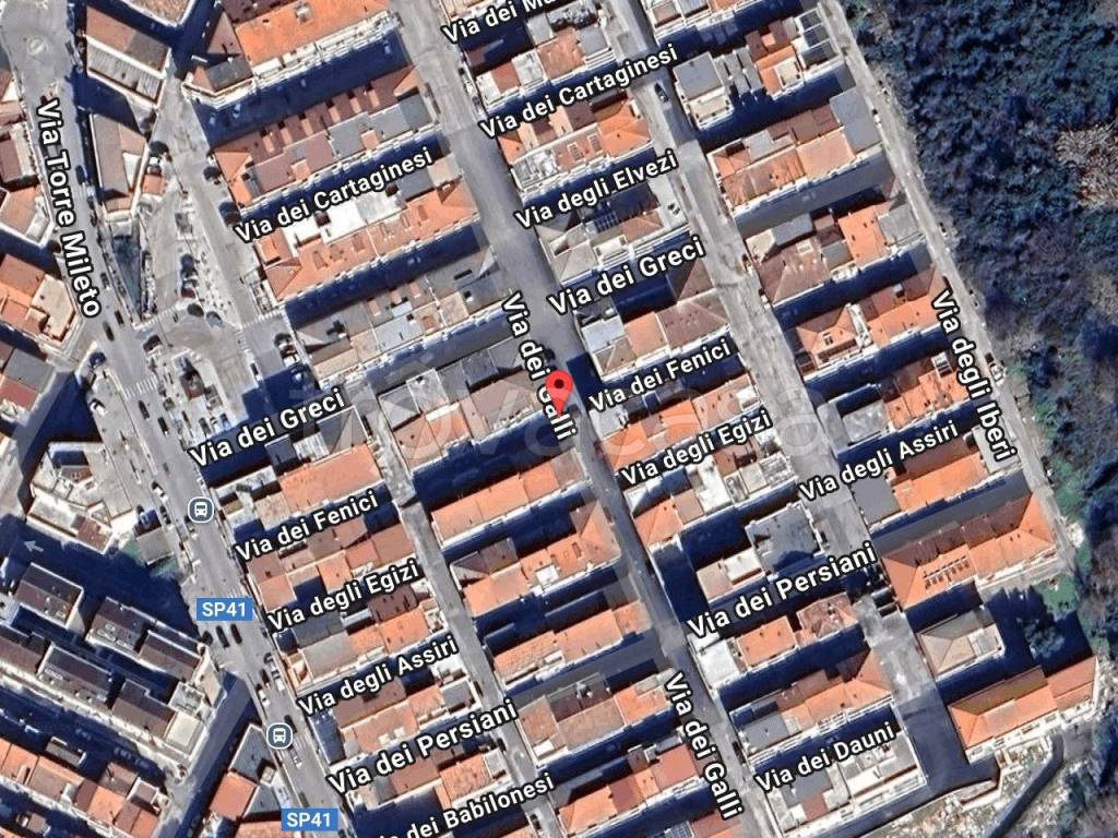 immagine annuncio 1 di 11