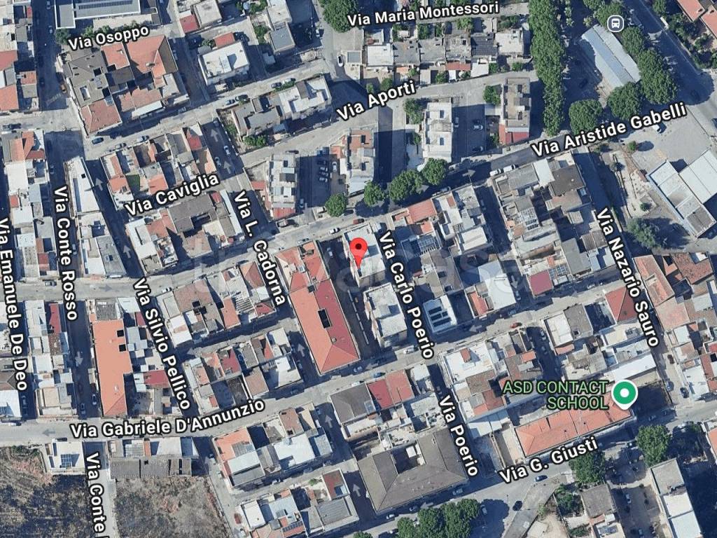 immagine annuncio 1 di 11